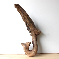 Treibholz Schwemmholz Driftwood 1 XL Wurzel  Terrarium 54 cm hoch