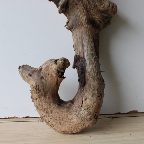 Treibholz Schwemmholz Driftwood 1 XL Wurzel  Terrarium 54 cm hoch