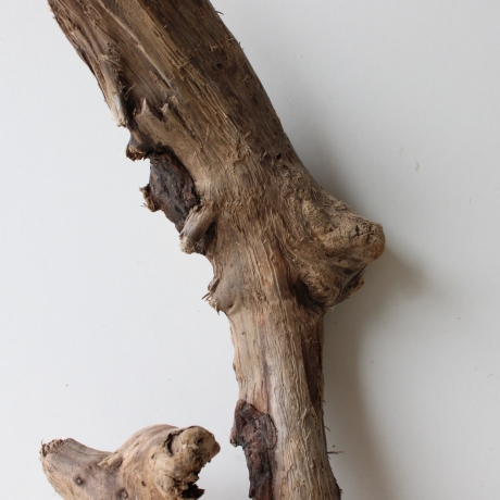 Treibholz Schwemmholz Driftwood 1 XL Wurzel  Terrarium 54 cm hoch