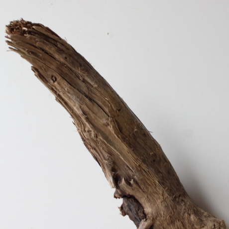 Treibholz Schwemmholz Driftwood 1 XL Wurzel  Terrarium 54 cm hoch