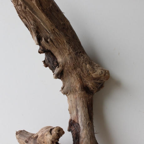 Treibholz Schwemmholz Driftwood 1 XL Wurzel  Terrarium 54 cm hoch
