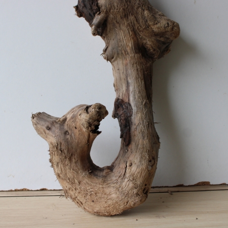 Treibholz Schwemmholz Driftwood 1 XL Wurzel  Terrarium 54 cm hoch