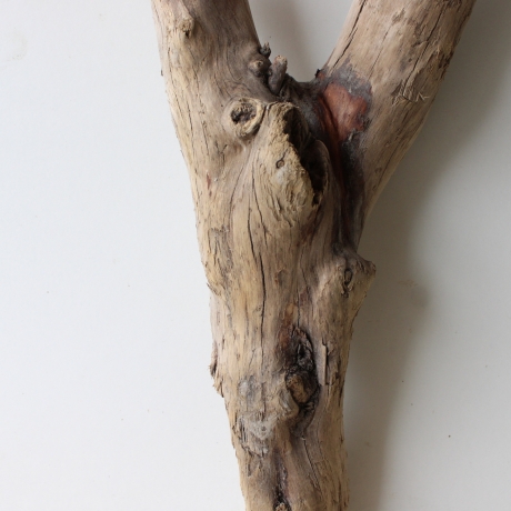 Treibholz Schwemmholz Driftwood 1 XL Wurzel  Terrarium 72 cm 