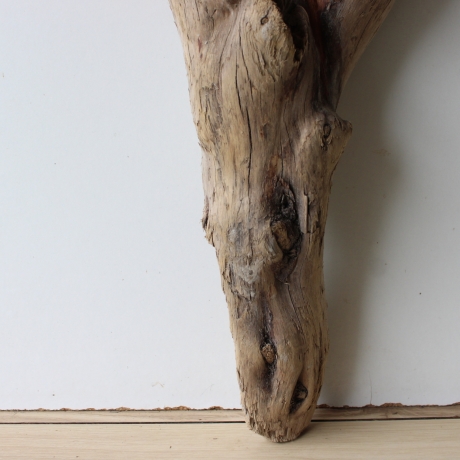 Treibholz Schwemmholz Driftwood 1 XL Wurzel  Terrarium 72 cm 