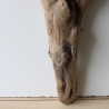 Treibholz Schwemmholz Driftwood 1 XL Wurzel  Terrarium 72 cm 
