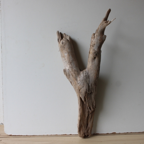 Treibholz Schwemmholz Driftwood 1 XL Wurzel  Terrarium 72 cm 