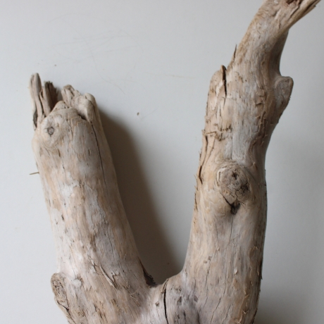Treibholz Schwemmholz Driftwood 1 XL Wurzel  Terrarium 72 cm 
