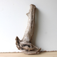 Treibholz Schwemmholz Driftwood 1  Wurzel  Terrarium 47 cm 