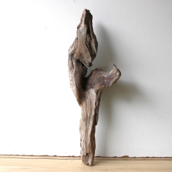 Treibholz Schwemmholz Driftwood 1 Skulptur  53 cm 