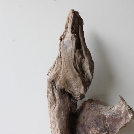 Treibholz Schwemmholz Driftwood 1 Skulptur  53 cm 