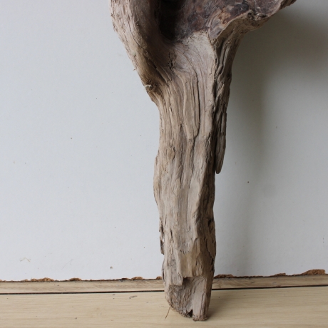 Treibholz Schwemmholz Driftwood 1 Skulptur  53 cm 