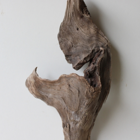 Treibholz Schwemmholz Driftwood 1 Skulptur  53 cm 