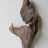 Treibholz Schwemmholz Driftwood 1 Skulptur  53 cm 