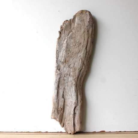 Treibholz Schwemmholz Driftwood 1 flache Skulptur  57 cm 