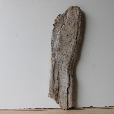 Treibholz Schwemmholz Driftwood 1 flache Skulptur  57 cm 