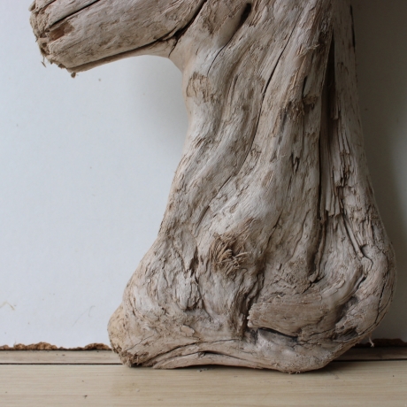 Treibholz Schwemmholz Driftwood 1 Skulptur  38 cm 