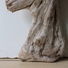 Treibholz Schwemmholz Driftwood 1 Skulptur  38 cm 