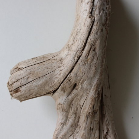 Treibholz Schwemmholz Driftwood 1 Skulptur  38 cm 