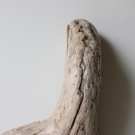 Treibholz Schwemmholz Driftwood 1 Skulptur  38 cm 