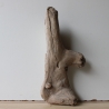 Treibholz Schwemmholz Driftwood 1 Skulptur  38 cm 