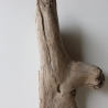 Treibholz Schwemmholz Driftwood 1 Skulptur  38 cm 