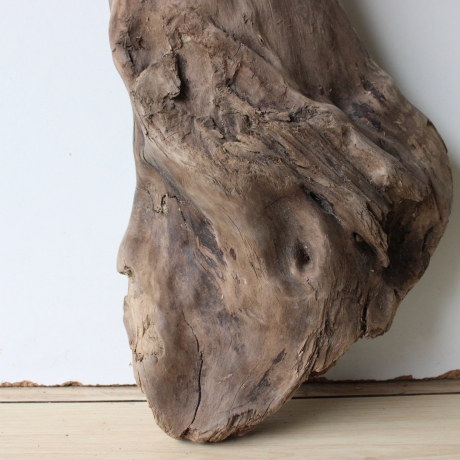 Treibholz Schwemmholz Driftwood 1 XL  Skulptur  63 cm 