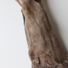 Treibholz Schwemmholz Driftwood 1 XL  Skulptur  63 cm 