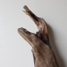 Treibholz Schwemmholz Driftwood 1 XL  Skulptur  63 cm 
