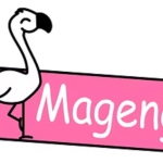 Magengo Designs