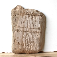 Treibholz Schwemmholz Driftwood  1 kleines  Brett Regal  20 cm  