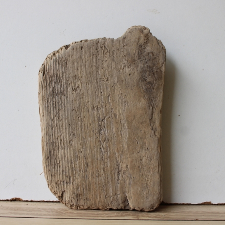 Treibholz Schwemmholz Driftwood  1 kleines  Brett Regal  20 cm  