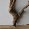 Treibholz Schwemmholz Driftwood 1  Wurzel  Terrarium 47 cm 