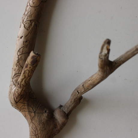 Treibholz Schwemmholz Driftwood 1  Wurzel  Terrarium 47 cm 