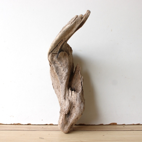 Treibholz Schwemmholz Driftwood 1 Skulptur  31 cm 