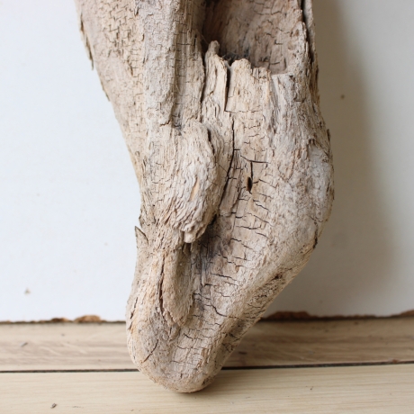 Treibholz Schwemmholz Driftwood 1 Skulptur  31 cm 