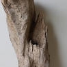 Treibholz Schwemmholz Driftwood 1 Skulptur  31 cm 