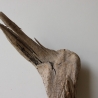 Treibholz Schwemmholz Driftwood 1 Skulptur  31 cm 