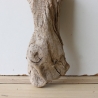 Treibholz Schwemmholz Driftwood 1 Skulptur  31 cm 