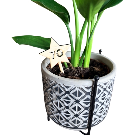 Stern-Stecker/ Topper aus Holz – Jubiläumszahlen / Geburtstage