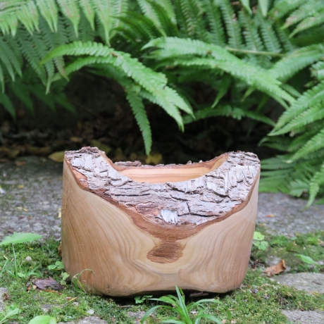 Kirsch Holz Schale mit Rinde / natürlich