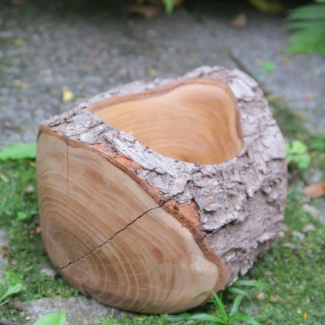 Kirsch Holz Schale mit Rinde / natürlich