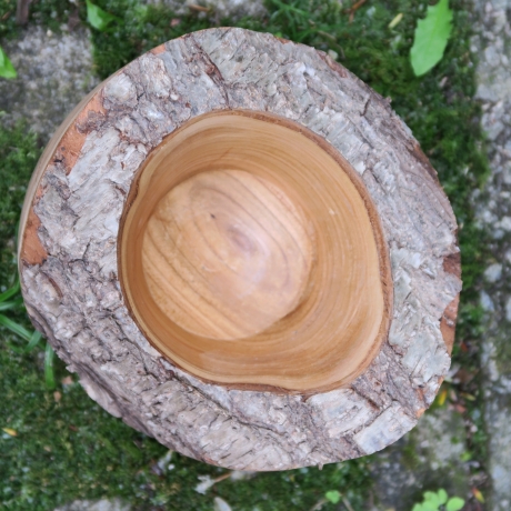 Kirsch Holz Schale mit Rinde / natürlich