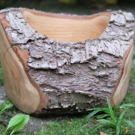 Kirsch Holz Schale mit Rinde / natürlich