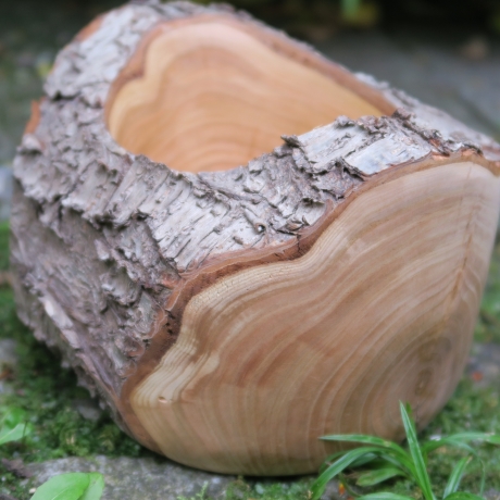 Kirsch Holz Schale mit Rinde / natürlich