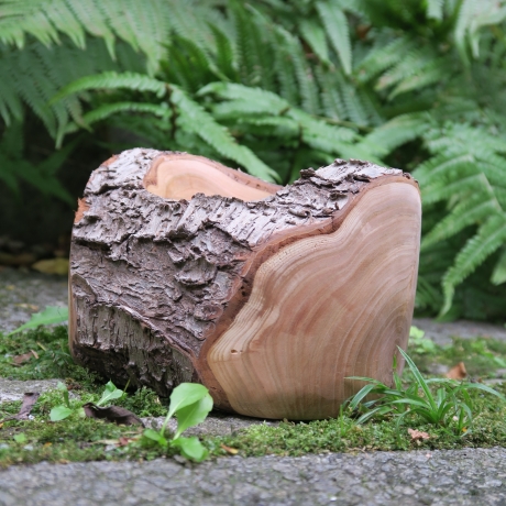 Kirsch Holz Schale mit Rinde / natürlich