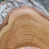 Kirsch Holz Schale mit Rinde / natürlich