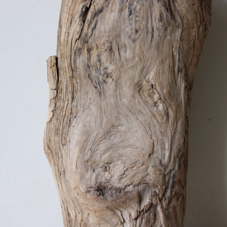 Treibholz Schwemmholz Driftwood 1 Skulptur  25 cm 