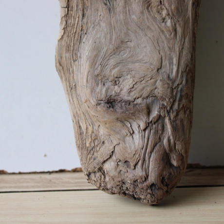 Treibholz Schwemmholz Driftwood 1 Skulptur  25 cm 
