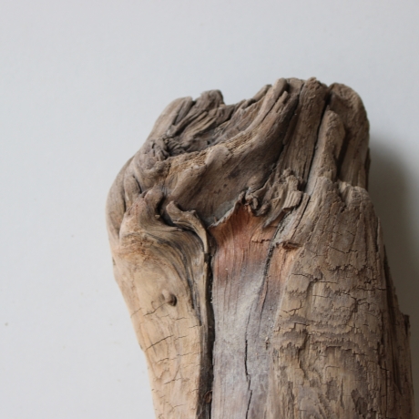 Treibholz Schwemmholz Driftwood 1 Skulptur  25 cm 