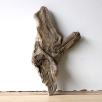 Treibholz Schwemmholz Driftwood 1 Skulptur  36 cm 
